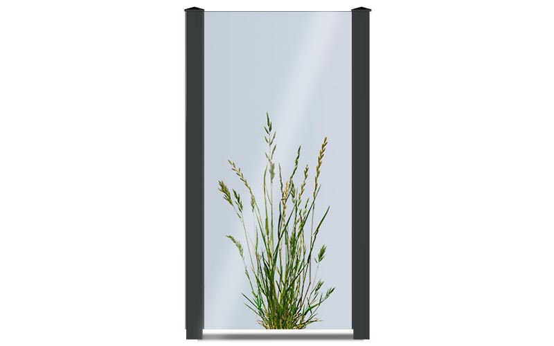 Glaselement mit einer Pflanze bedruckt