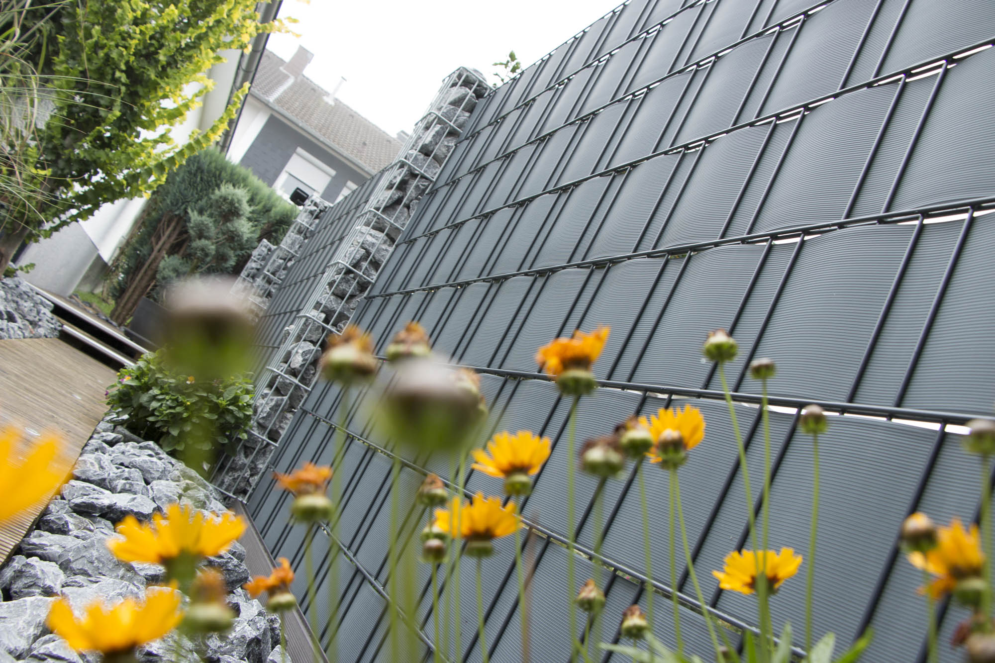 Doppelstabmattenzaun mit Sichtschutz, zwischen den Zaunfelder steht jeweils eine Gabionensäule