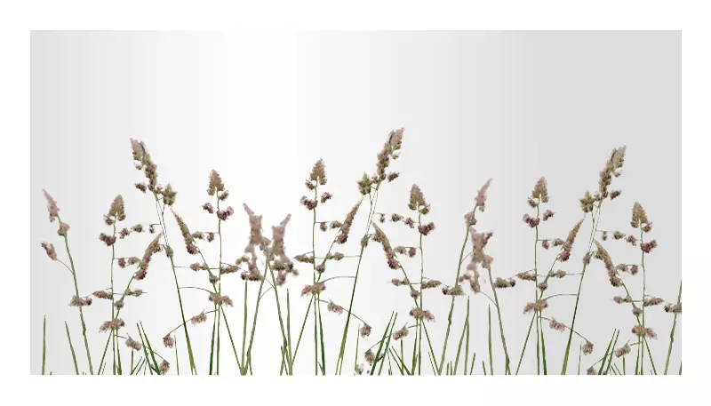 individuelle Zusatzdekore für VIDUAL preiswert kaufen individuelle Zusatzdekore für VIDUAL