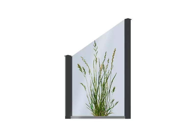 VIDUAL clear | individuelle Glasfüllung schräg preiswert kaufen schräges Glaselement mit einer Pflanze bedruckt